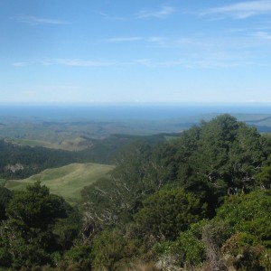 boundary-stream-2
