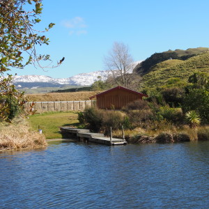 Part Opouahi Scenic Reserve