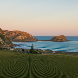 Whakaari Landing Place Reserve